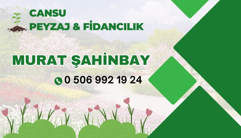 Cansu Peyzaj ve Fidancılık