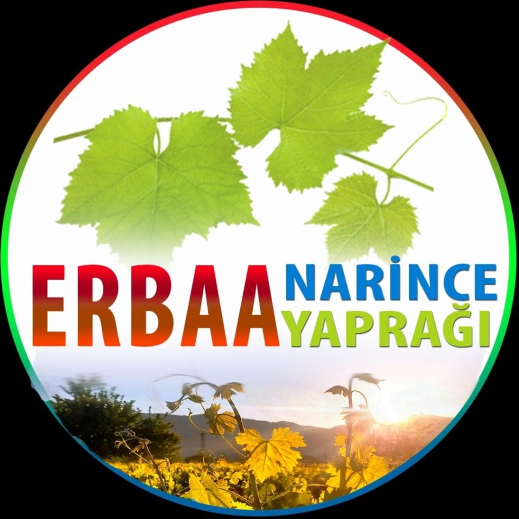 Erbaa Narince Yaprağı